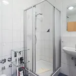 Elbsegler, 4 Appartement
